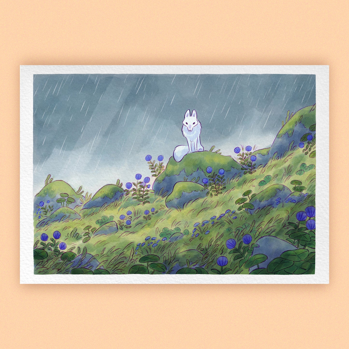 MOUNTAIN WOLF • Art Print