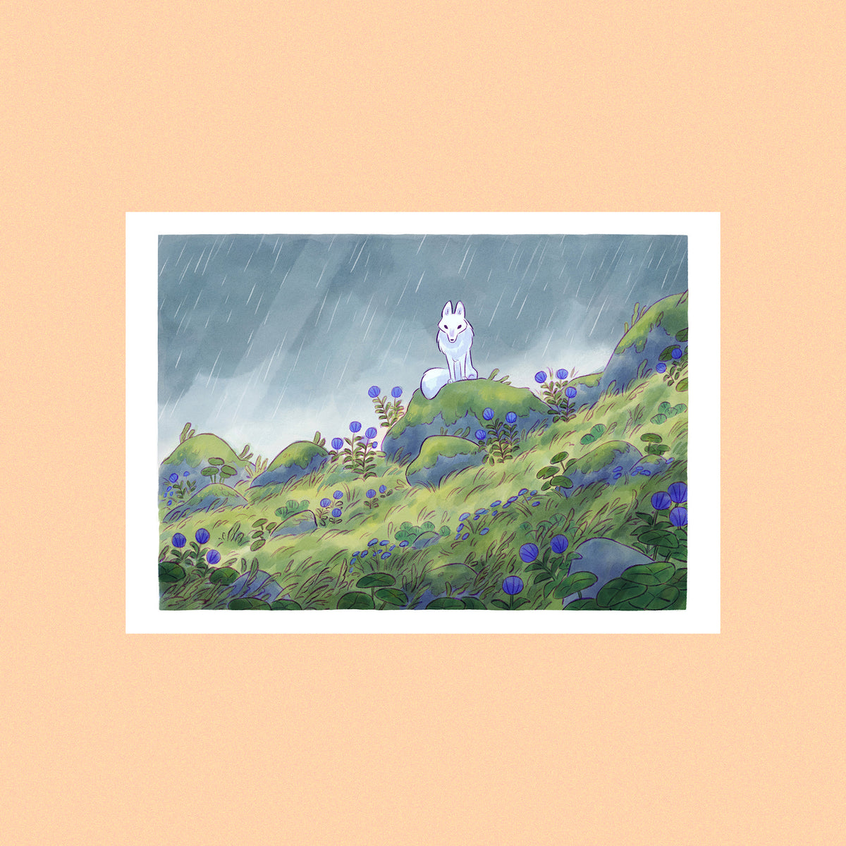 2026 POSTCARDS BUNDLE • ALL 4 illustrations