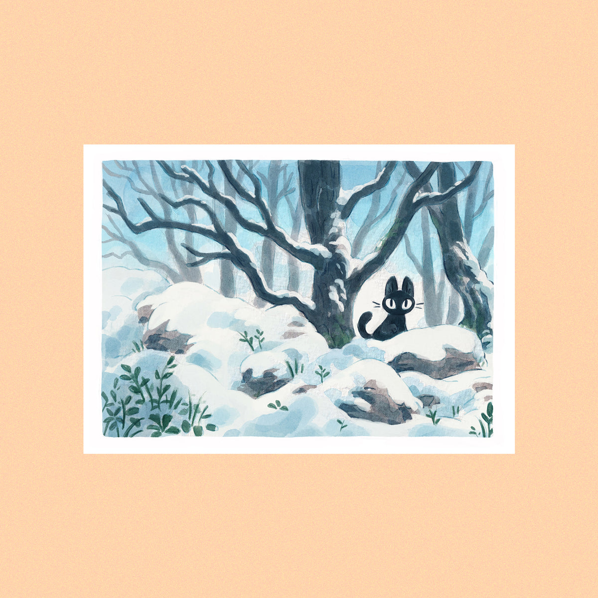 2026 POSTCARDS BUNDLE • ALL 4 illustrations